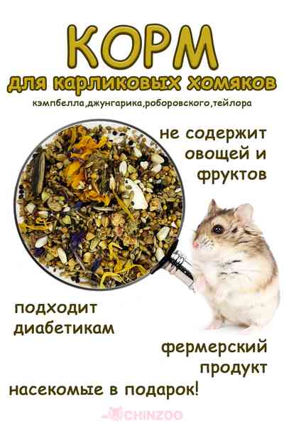 Корм для карликовых видов хомяков – chinzoo.ru