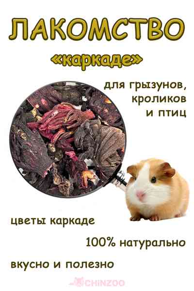 Каркаде цветки – chinzoo.ru
