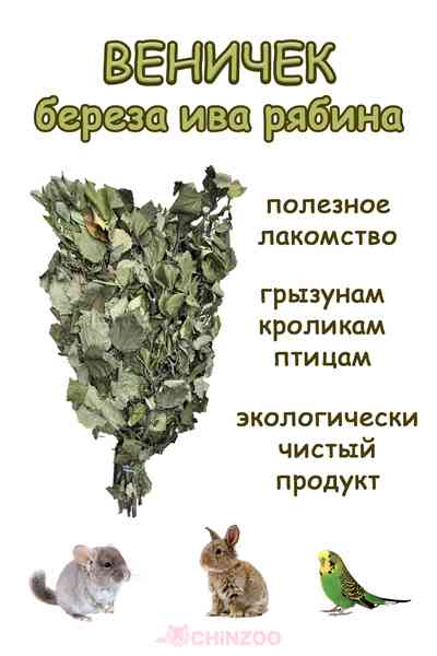 Веник микс (береза, ива, рябина) – chinzoo.ru
