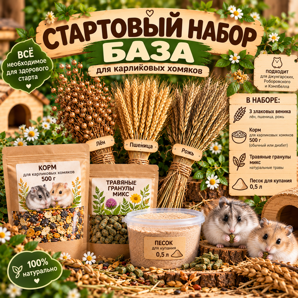 Стартовый набор для карликовых хомяков БАЗА – chinzoo.ru