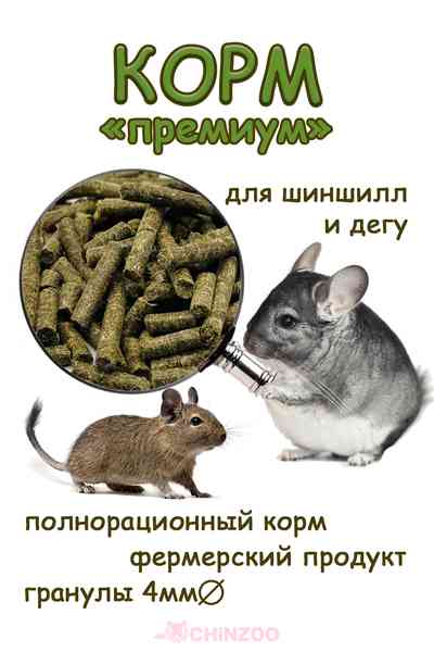 Корм премиум – chinzoo.ru