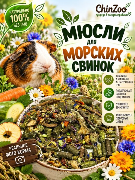 Мюсли для свинок – chinzoo.ru