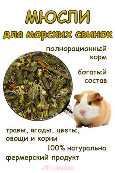 Мюсли для свинок – chinzoo.ru