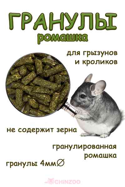 Ромашка гранулированная – chinzoo.ru