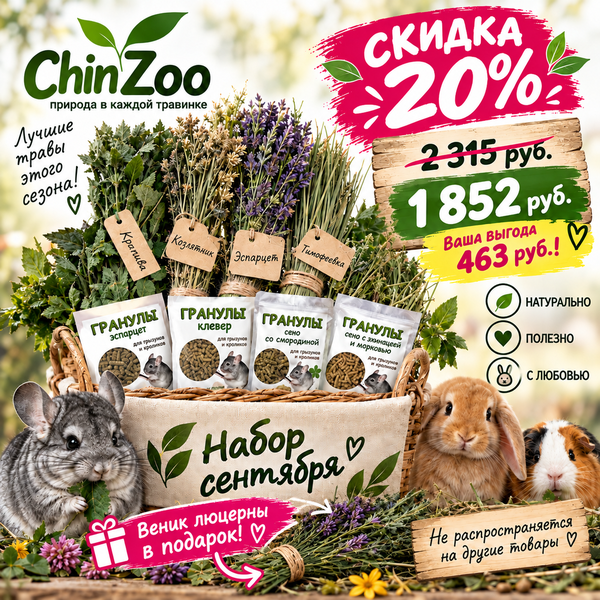 Набор сентября – chinzoo.ru