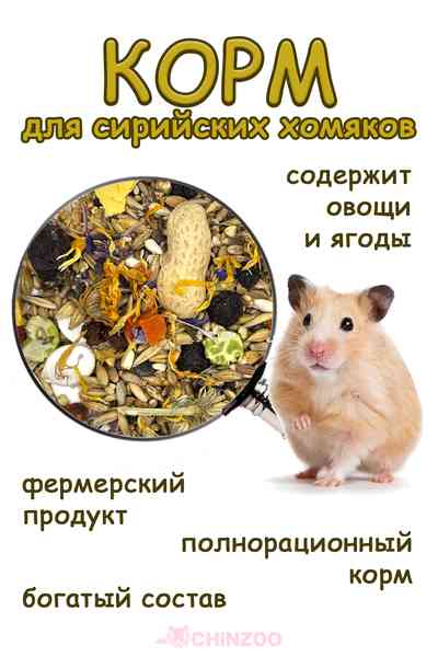 Корм для сирийских хомяков – chinzoo.ru