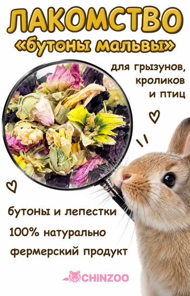 Мальва бутончики – chinzoo.ru