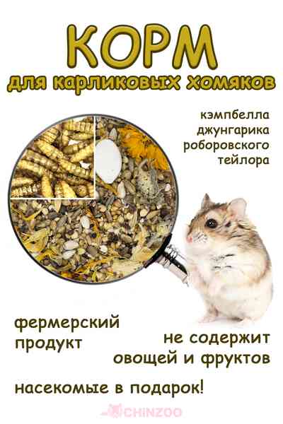 Корм для карликовых видов хомяков – chinzoo.ru