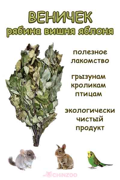Веничек микс (рябина, вишня, яблоня) – chinzoo.ru