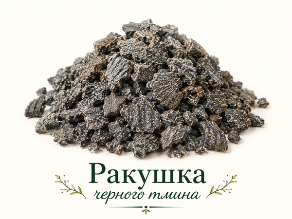 Ракушка черного тмина – chinzoo.ru