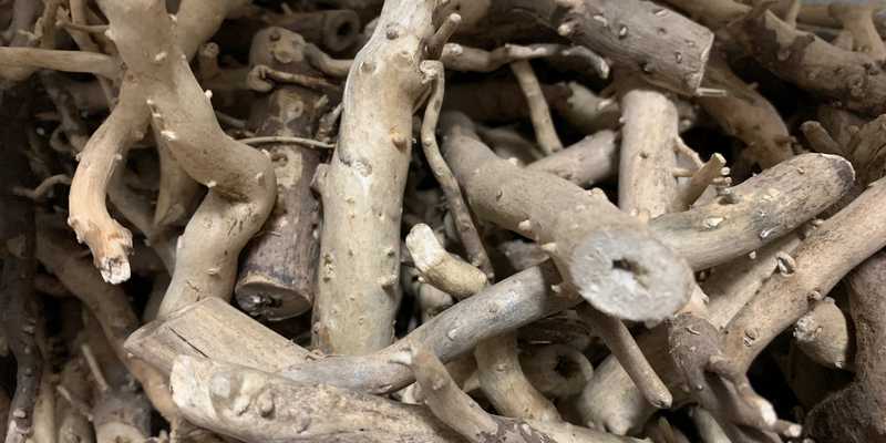 Корень подсолнечника сушеный – ChinZoo.ru