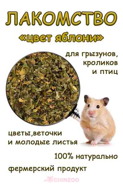 Цвет яблони – chinzoo.ru